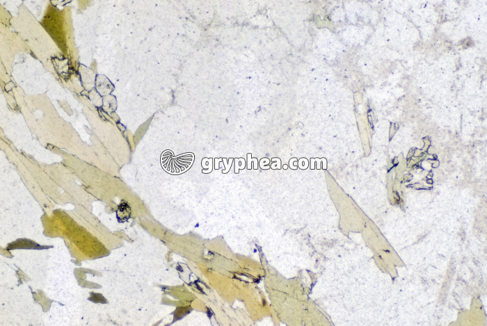 Plagioclase (feldspath) LPNA x20 - gryphea.com